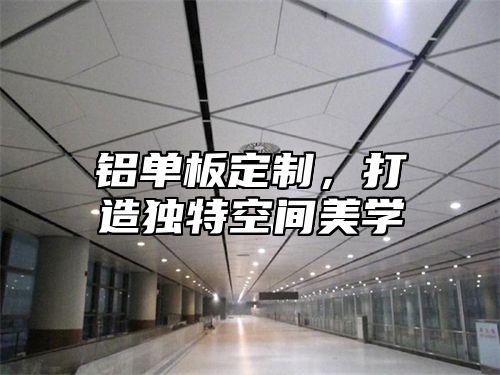 铝单板定制，打造独特空间美学