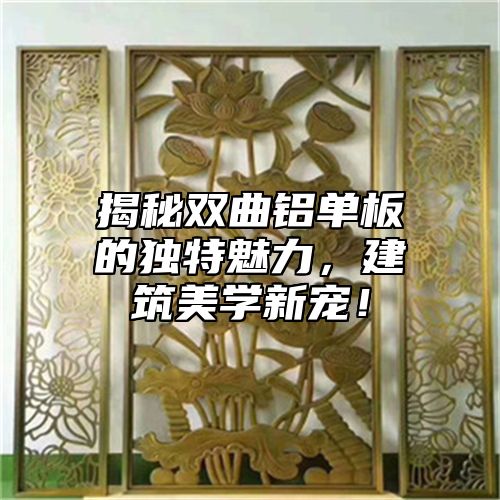 揭秘双曲铝单板的独特魅力，建筑美学新宠！