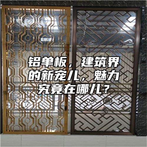 铝单板，建筑界的新宠儿，魅力究竟在哪儿？