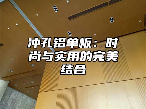 冲孔铝单板：时尚与实用的完美结合