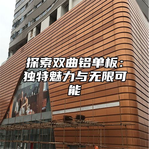 探索双曲铝单板：独特魅力与无限可能