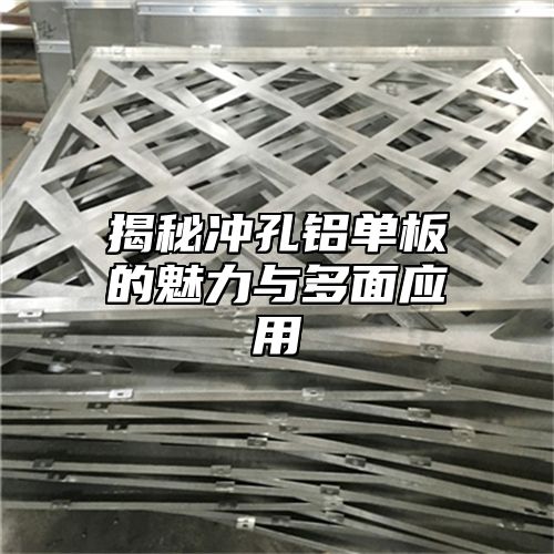 揭秘冲孔铝单板的魅力与多面应用