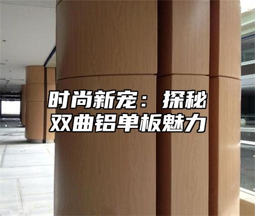 时尚新宠：探秘双曲铝单板魅力