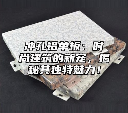 冲孔铝单板：时尚建筑的新宠，揭秘其独特魅力！