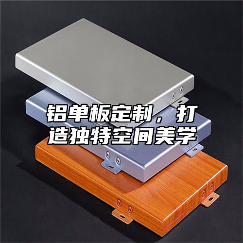 铝单板定制，打造独特空间美学