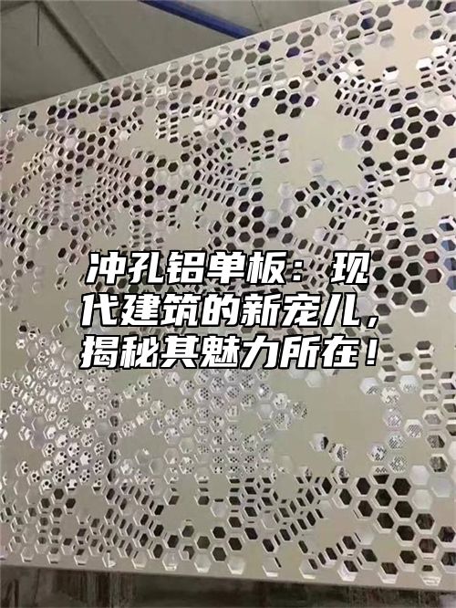 冲孔铝单板：现代建筑的新宠儿，揭秘其魅力所在！
