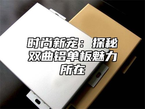 时尚新宠：探秘双曲铝单板魅力所在
