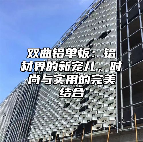 双曲铝单板：铝材界的新宠儿，时尚与实用的完美结合