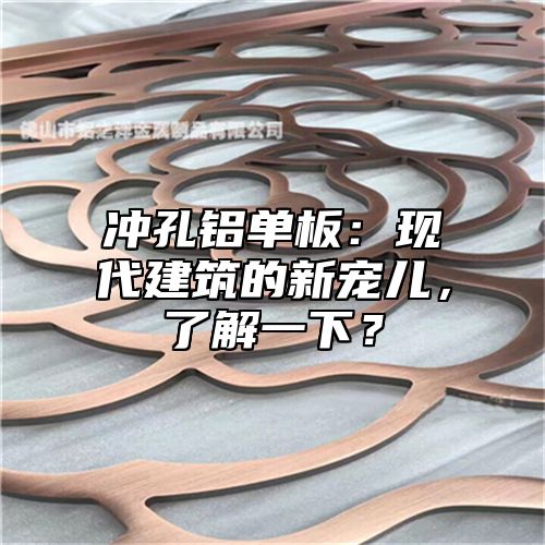 冲孔铝单板：现代建筑的新宠儿，了解一下？