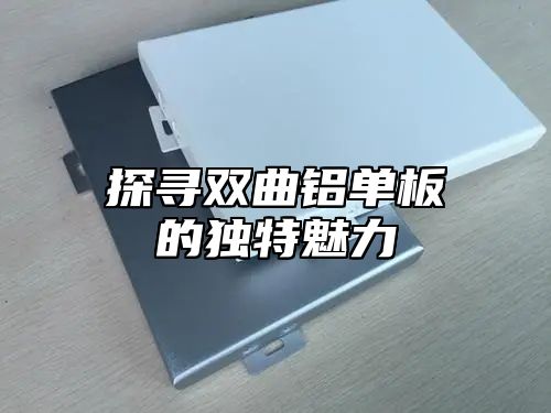 探寻双曲铝单板的独特魅力