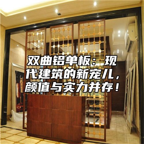 双曲铝单板：现代建筑的新宠儿，颜值与实力并存！