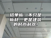 铝单板：不只是板材，更是建筑的时尚利器！
