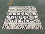 氟碳铝单板：建筑界的新宠儿，揭秘其独特魅力！
