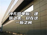 冲孔铝单板：建筑之美，尽在这一板之间