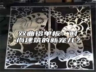 双曲铝单板：时尚建筑的新宠儿？