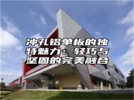 冲孔铝单板的独特魅力：轻巧与坚固的完美融合