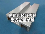 创新科技时尚造型天花铝单板