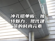 冲孔铝单板：独特魅力，现代建筑的时尚元素