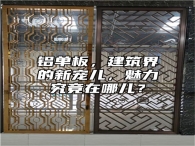 铝单板，建筑界的新宠儿，魅力究竟在哪儿？