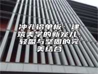 冲孔铝单板：建筑美学的新宠儿，轻盈与坚固的完美结合
