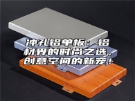 冲孔铝单板：铝材界的时尚之选，创意空间的新宠！