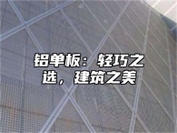 铝单板：轻巧之选，建筑之美