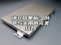 冲孔铝单板：创意与实用的完美结合