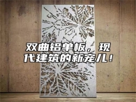 双曲铝单板，现代建筑的新宠儿！