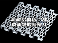 氟碳铝单板：建筑美学的新宠儿