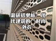 氟碳铝单板：现代建筑的“时尚外衣”
